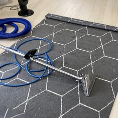 Area Rug Professional Cleaning